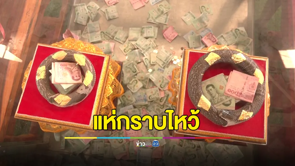 ฮือฮา​! คนแห่กราบไหว้งูเห่ากินหาง​ 2 ตัววัดท่าเสา​